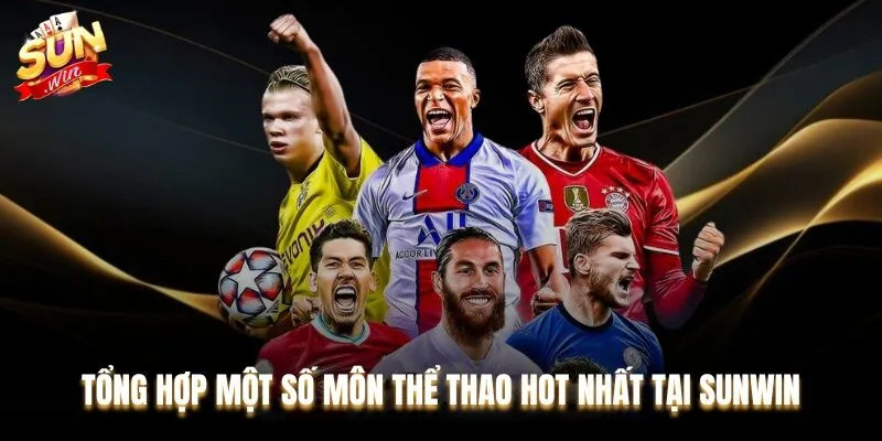 Tổng hợp một số môn thể thao được nhiều người yêu thích tại Sunwin